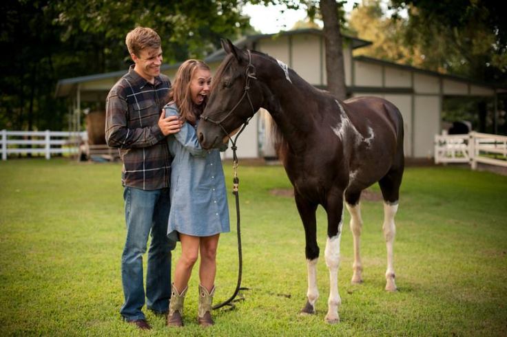 horse pic me excited